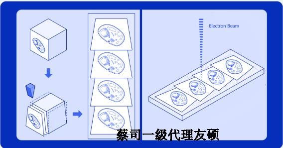 泉州蔡司泉州扫描电镜