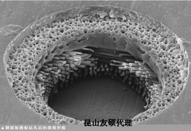 泉州蔡司泉州扫描电镜